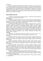 Odos ligos 8 puslapis