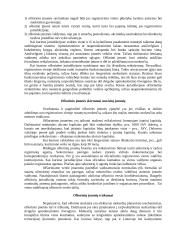 Ofšorinės įmonės 2 puslapis