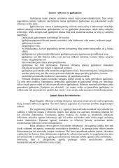 Ofšorinės įmonės 9 puslapis