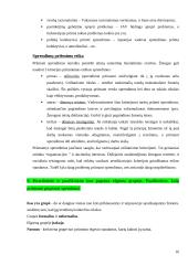 Organizacijos elgsenos 16 puslapis