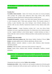 Organizacijos elgsenos 18 puslapis