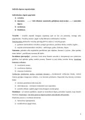 Organizacijos elgsenos 4 puslapis