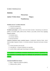 Organizacijos elgsenos 6 puslapis
