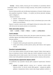 Organizacijos elgsenos 9 puslapis