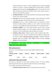 Organizacijos elgsenos 10 puslapis