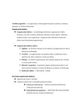 Organizacijos įvaizdžio samprata ir jo kūrimo strategijos 5 puslapis