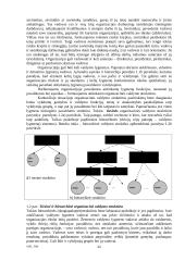 Organizacijos vadyba ir informacinės sistemos 3 puslapis