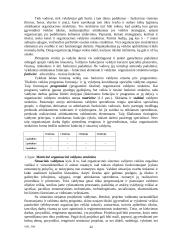 Organizacijos vadyba ir informacinės sistemos 4 puslapis