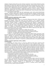 Organizacijų teorijos 2 puslapis