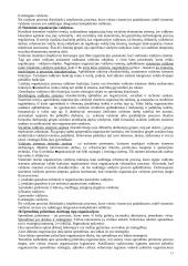 Organizacijų teorijos 11 puslapis