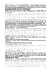 Organizacijų teorijos 13 puslapis