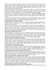 Organizacijų teorijos 14 puslapis