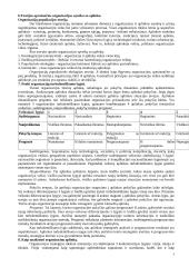 Organizacijų teorijos 3 puslapis