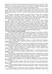 Organizacijų teorijos 4 puslapis