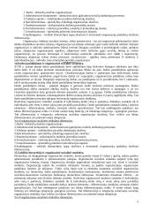 Organizacijų teorijos 6 puslapis