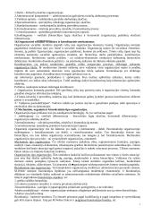 Organizacijų teorijos 7 puslapis