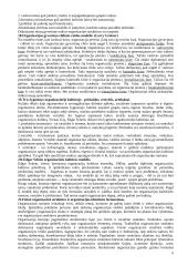 Organizacijų teorijos 8 puslapis