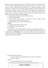 Organizacinių struktūrų kūrimas 2 puslapis