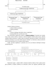 Organizacinių struktūrų kūrimas 3 puslapis