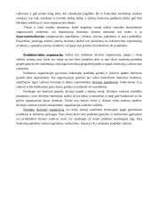 Organizacinių struktūrų kūrimas 4 puslapis
