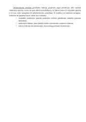 Organizacinių struktūrų kūrimas 6 puslapis