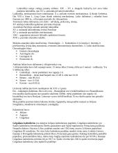 Pagalbinės istorijos disciplinos 11 puslapis