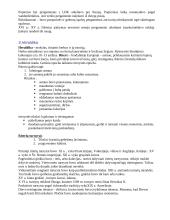 Pagalbinės istorijos disciplinos 5 puslapis