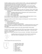 Pagalbinės istorijos disciplinos 6 puslapis