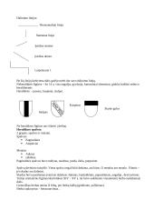 Pagalbinės istorijos disciplinos 7 puslapis
