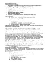 Pagalbinės istorijos disciplinos 8 puslapis