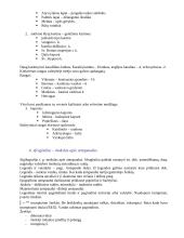 Pagalbinės istorijos disciplinos 9 puslapis