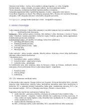 Pagalbinės istorijos disciplinos 10 puslapis