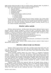 Pagrindinės vadybos mokyklos 2 puslapis