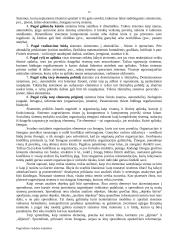 Pagrindinės vadybos mokyklos 12 puslapis