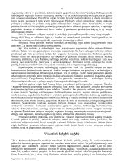 Pagrindinės vadybos mokyklos 14 puslapis