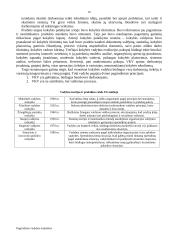 Pagrindinės vadybos mokyklos 18 puslapis