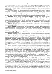 Pagrindinės vadybos mokyklos 4 puslapis