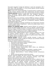 Ignalinos AE energetika ir ekologija. Referatas 2 puslapis