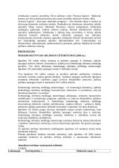 Ignalinos AE energetika ir ekologija. Referatas 3 puslapis