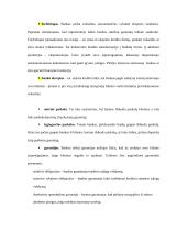 Paskolų suteikimo ir grąžinimo principai 12 puslapis