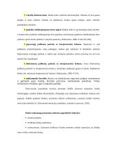 Paskolų suteikimo ir grąžinimo principai 13 puslapis