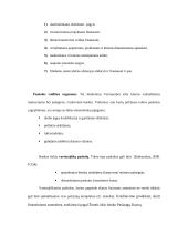 Paskolų suteikimo ir grąžinimo principai 15 puslapis