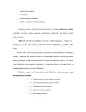 Paskolų suteikimo ir grąžinimo principai 19 puslapis