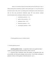 Paskolų suteikimo ir grąžinimo principai 20 puslapis