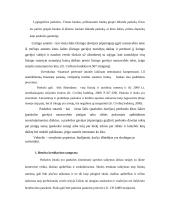 Paskolų suteikimo ir grąžinimo principai 4 puslapis