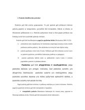 Paskolų suteikimo ir grąžinimo principai 7 puslapis