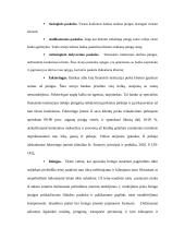 Paskolų suteikimo ir grąžinimo principai 9 puslapis