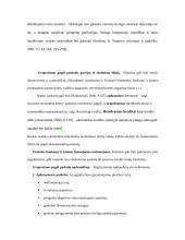 Paskolų suteikimo ir grąžinimo principai 10 puslapis