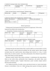 Paslaugų marketingas 19 puslapis