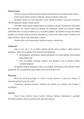 Paslaugų pristatymas 11 puslapis